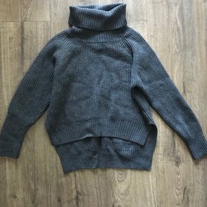 Aritzia Wilfred Turtleneck